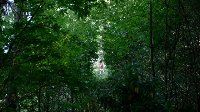 Parcours Accrobranche Au Bois A Force Force Cp Pascal Beltrami Mayenne Tourisme L Orbiere Domaine De Loisirs Hebergements Et Receptions 1920px(9)