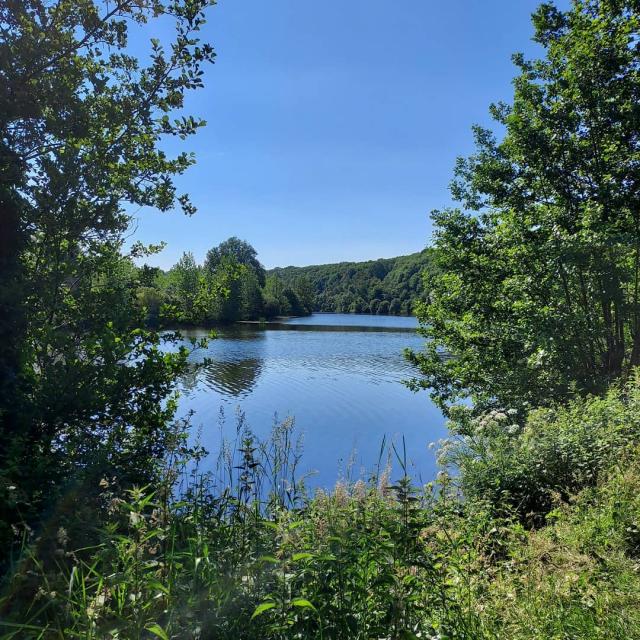 Instagram #mayenne