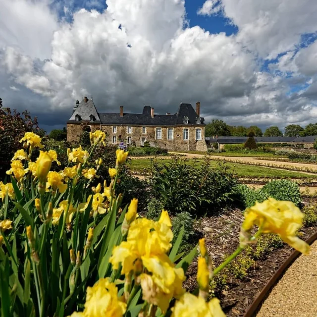 Instagram #mayenne