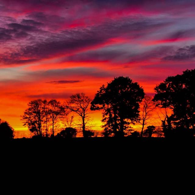 Instagram #mayenne