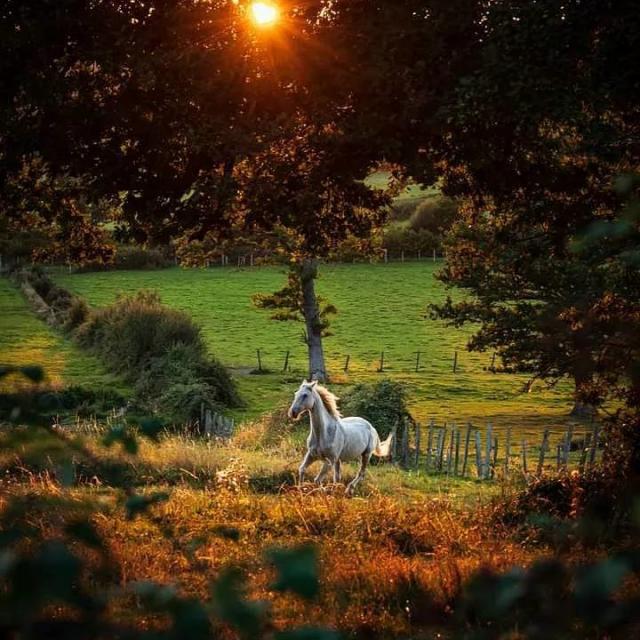 Instagram #mayenne