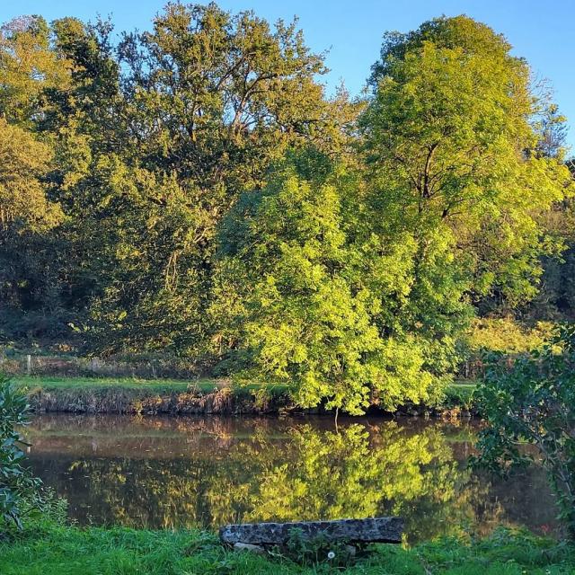 Instagram #mayenne