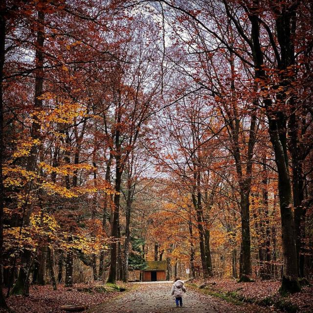 Instagram #mayenne