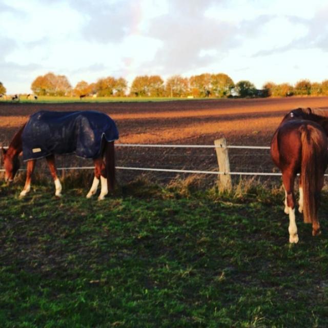 Instagram #mayenne