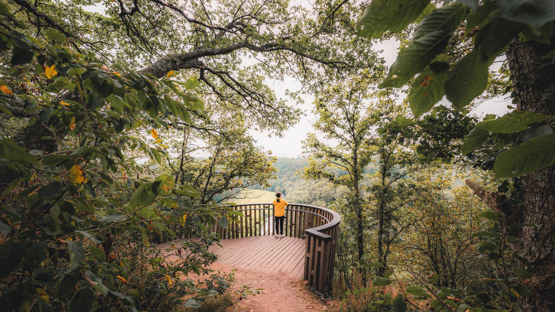 Canyon Des Toyeres Parc Naturel Regional Normandie Maine Saint Pierre Des Nids Cp Lezbroz Teddy Verneuil Mayenne Tourisme 1920px (1)