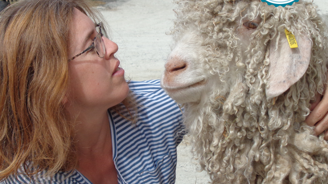 Mohair Du Maine Slowlydays ©emmanuelle Guiho (5)