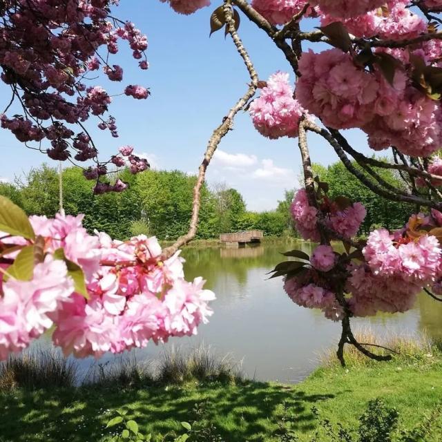 Instagram #mayenne