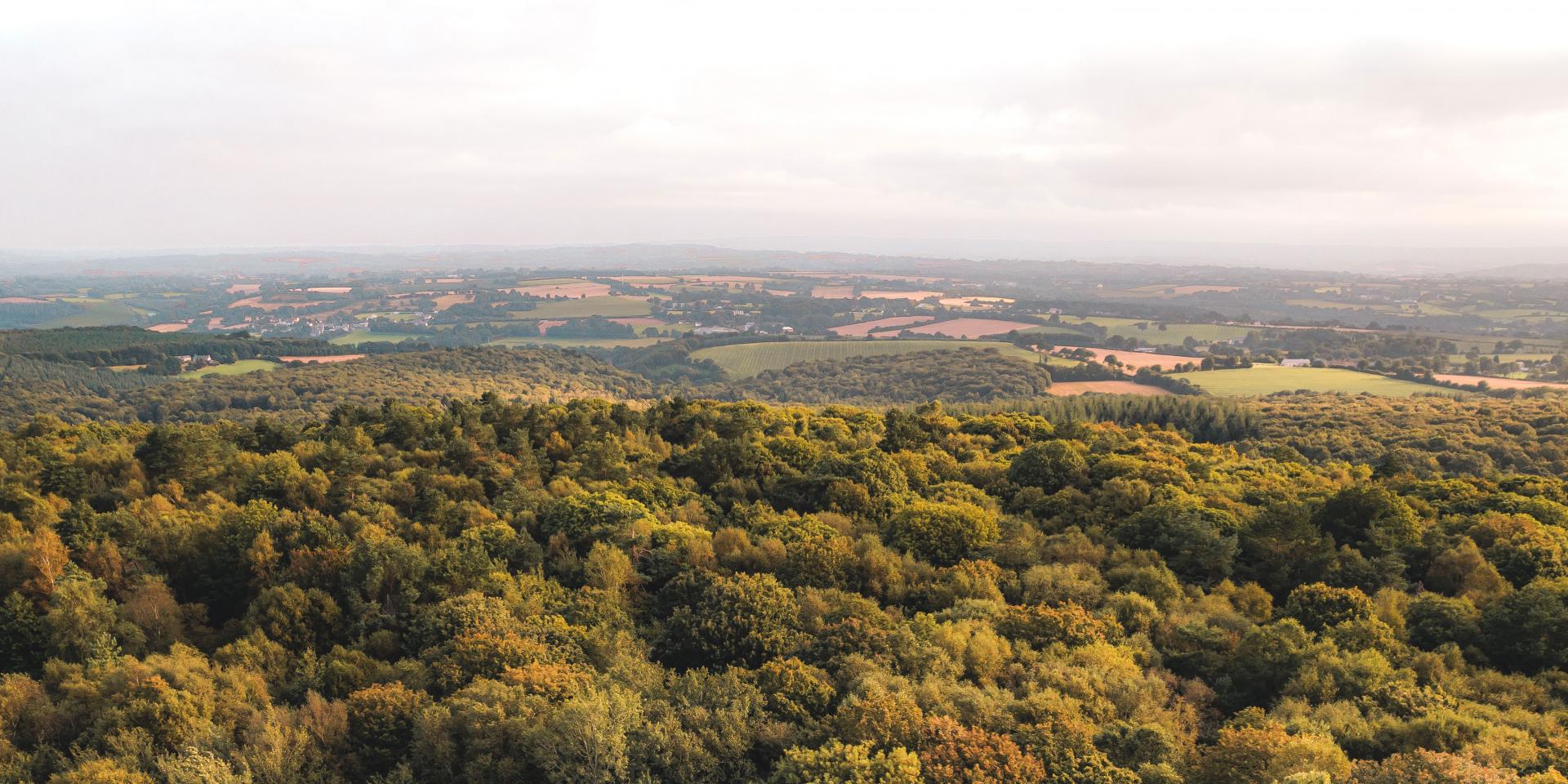 Belvédère Du Mont Des Avaloirs à Pré En Pail ©lezbroz Teddy Verneuil