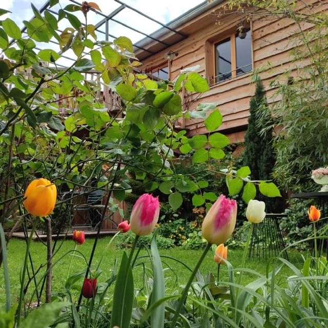 Instagram #lavelofrancette