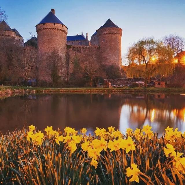 Instagram #mayenne