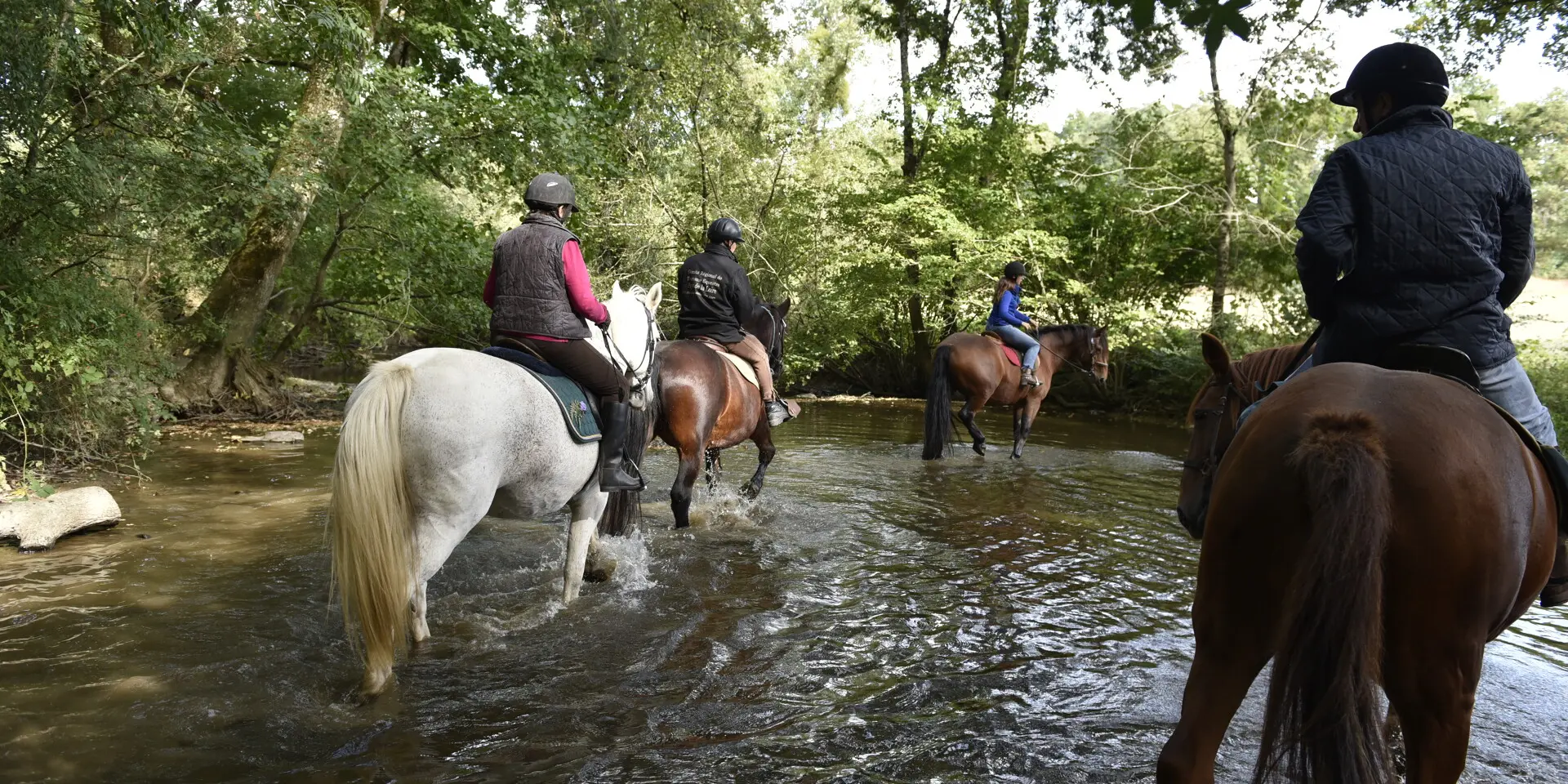 Randonnee A Cheval Madre Cp Pascal Beltrami Mayenne Tourisme 1920px