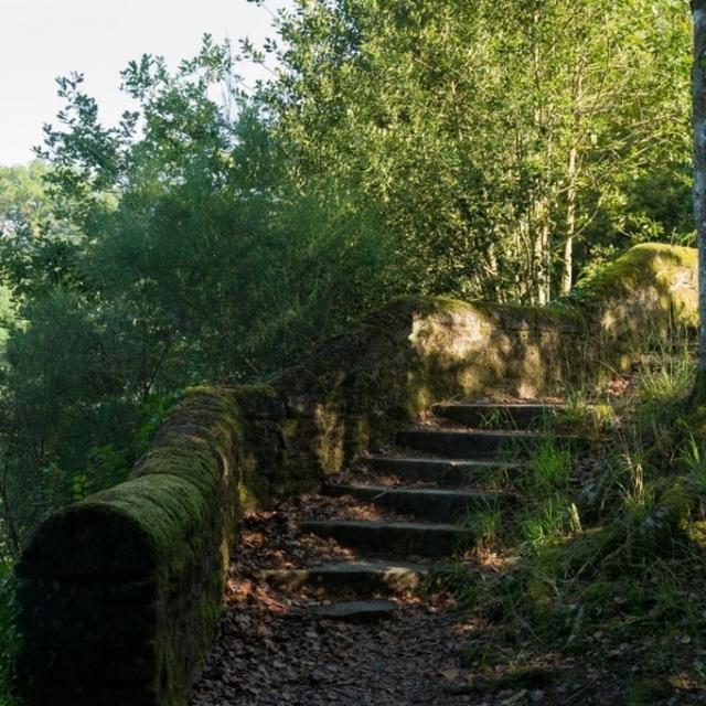 Instagram #hautemayenne