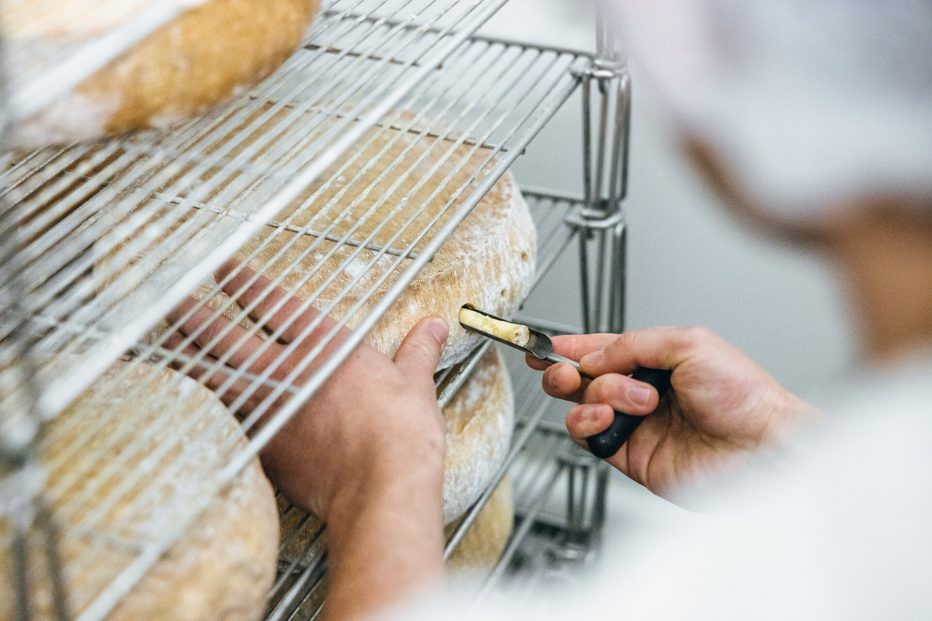 gros plan sur une meule de fromage dans une cave d'affinage.