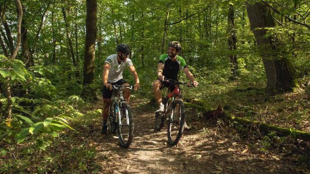 Vtt au bois de l'huisserie