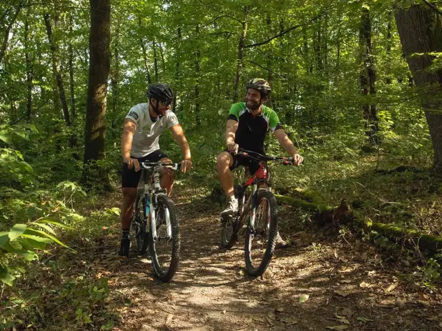 Vtt au bois de l'huisserie