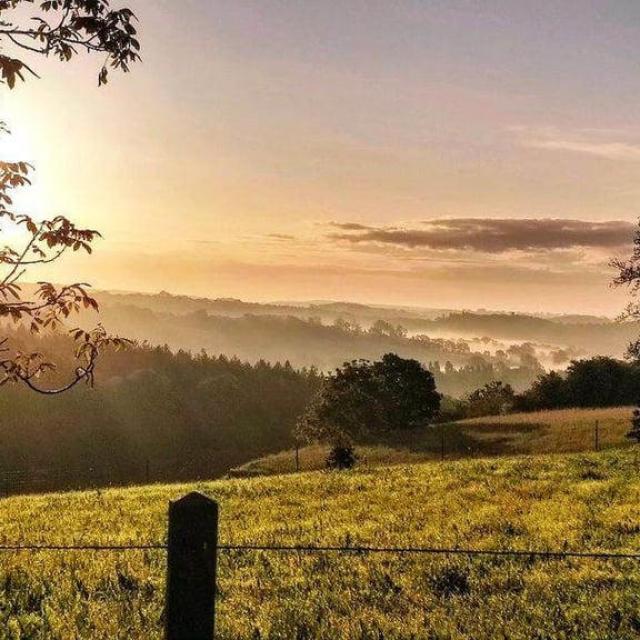Instagram #mayenne