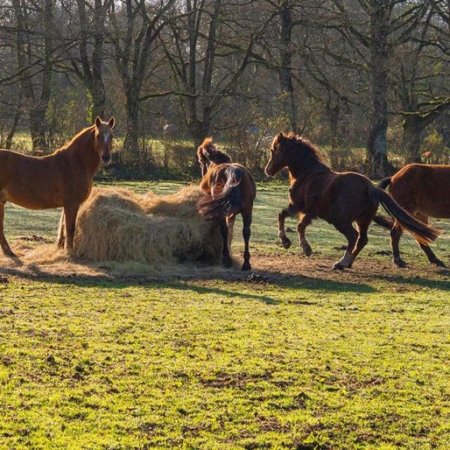 Instagram #mayennetourisme