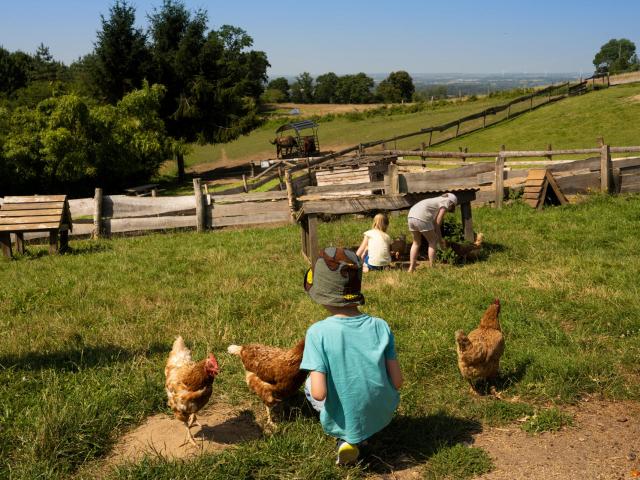 Ferme_pedagogique_Pat_a_foin-Champeon-CP-Pascal_BELTRAMI_-_Mayenne_Tourisme-1920px.jpg