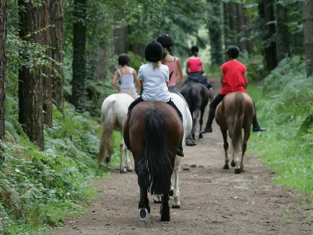 Randonnee A Cheval Cp Mayenne Tourisme 1920px
