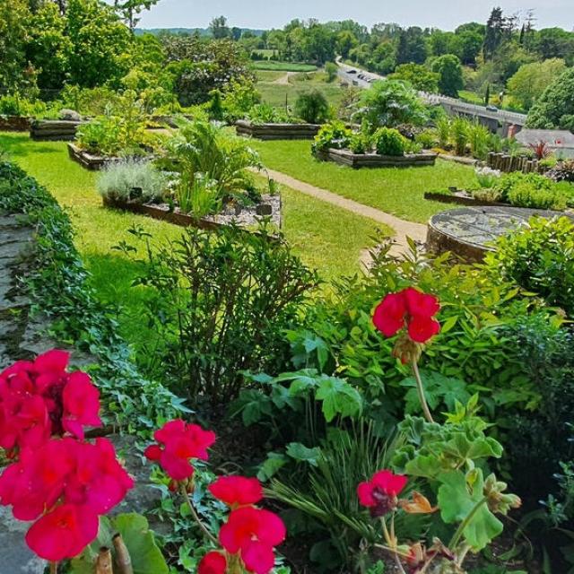 Instagram #mayenne