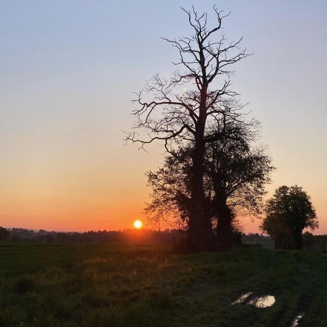 Instagram #mayenne