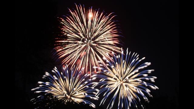 feu-d-artifice-14-juillet-02.jpg
