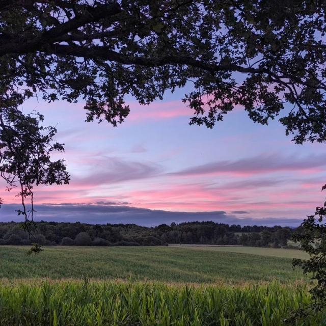 Instagram #mayenne