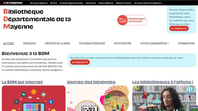 Bdm