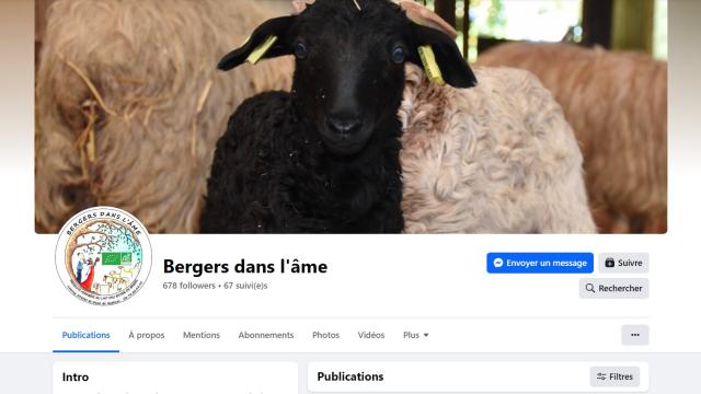 Bergers Dans Lame
