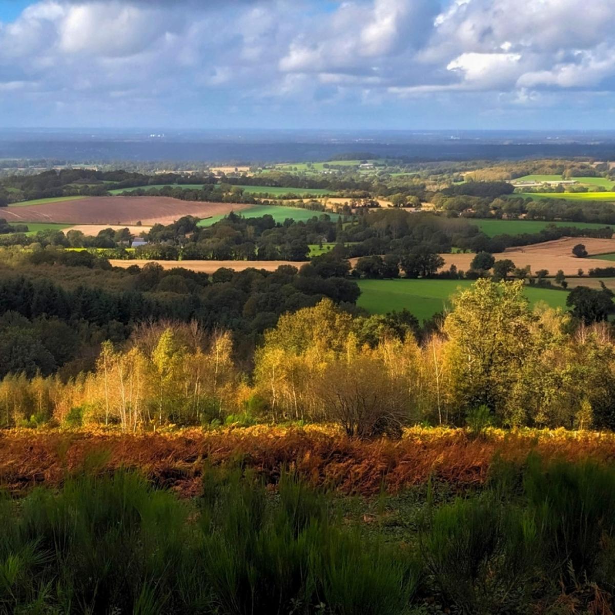 Tourism portal of the department La Mayenne