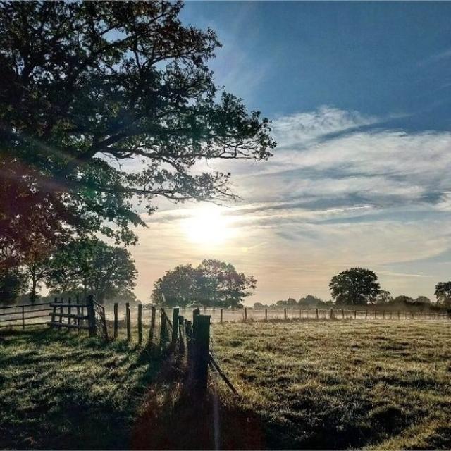Instagram #mayenne