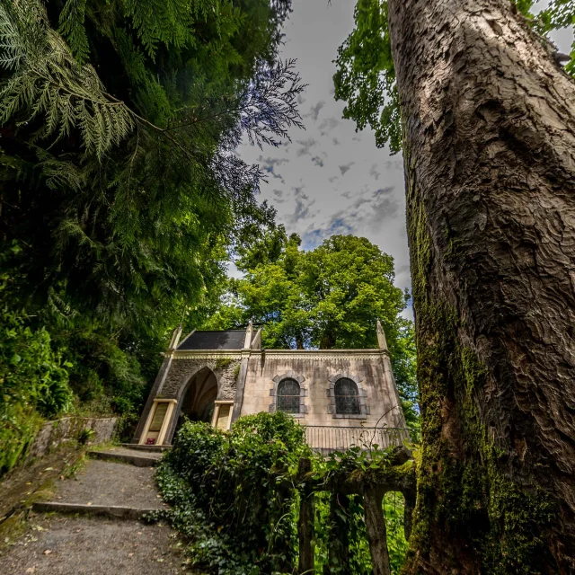 Vue de l'oratoire Saint-Cénéré. Au premier plan on voit un beau tronc d'arbre