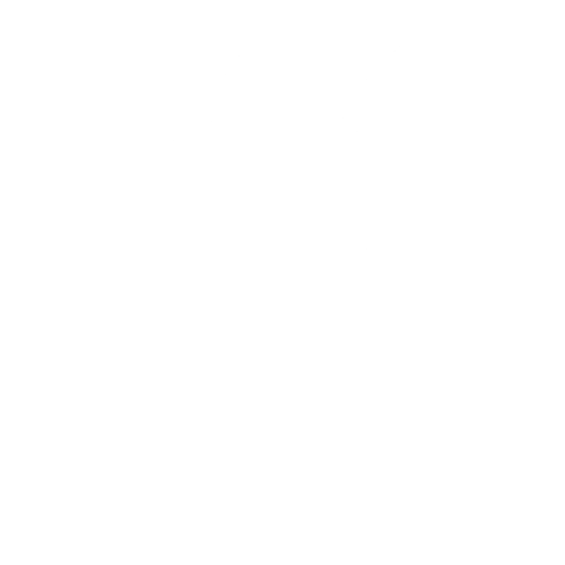 Icone Sport Blanc