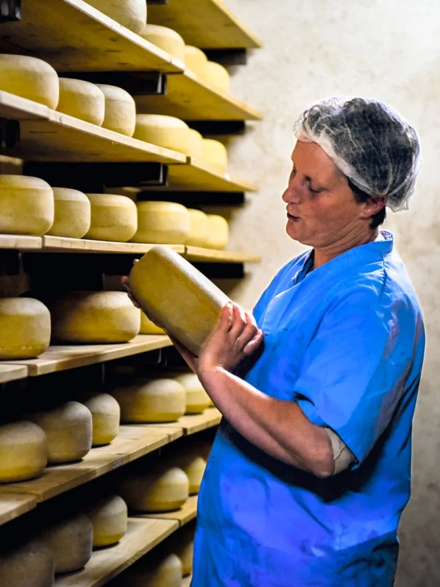 Ferme Arc En Ciel Cp Pascal Beltrami 1