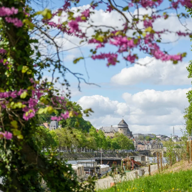 Instagram #mayenne