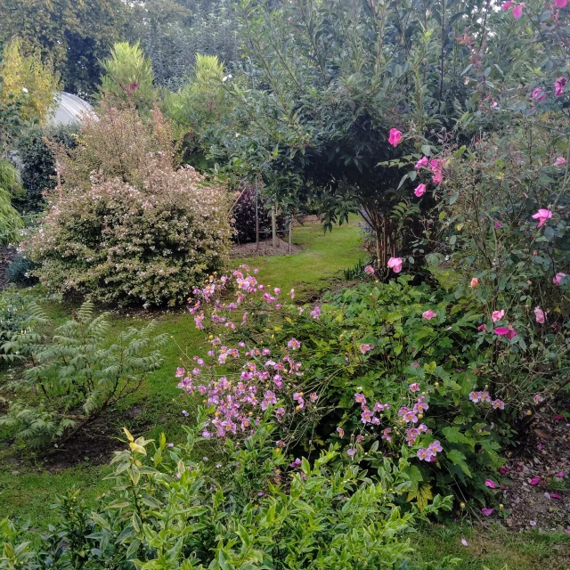 Jardin La Croisie Saint Samson