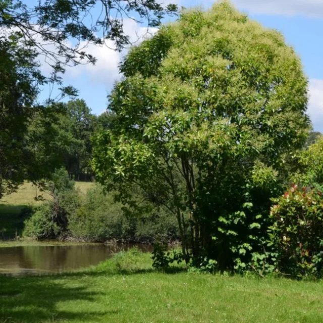 La-plage-Saint-Fraimbault-de-Prieres-Grand-e1750334753381.png