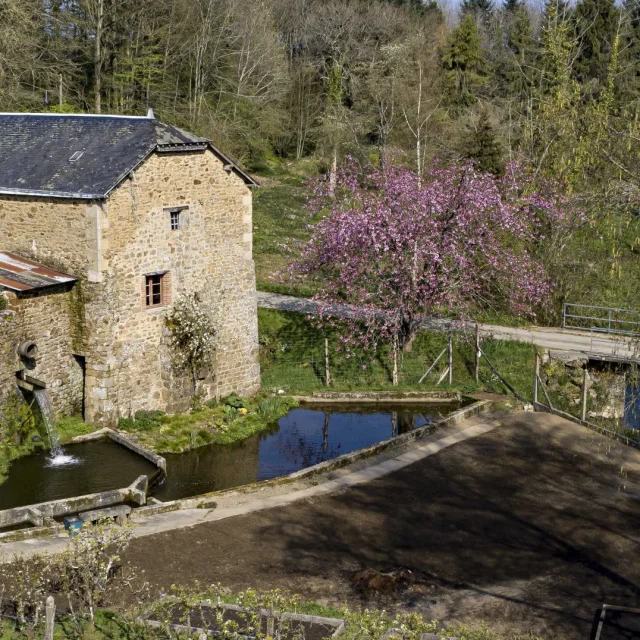 Moulin-de-la-Monnerie-c-Region-Pays-de-la-Loire-Inventaire-general-Grand.jpg