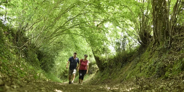 Deux personnes marchent sur un sentier de randonnée sous une belle voute d'arbres verts, à l'abri du soleil.