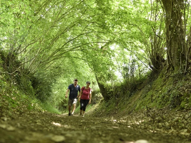 Deux personnes marchent sur un sentier de randonnée sous une belle voute d'arbres verts, à l'abri du soleil.