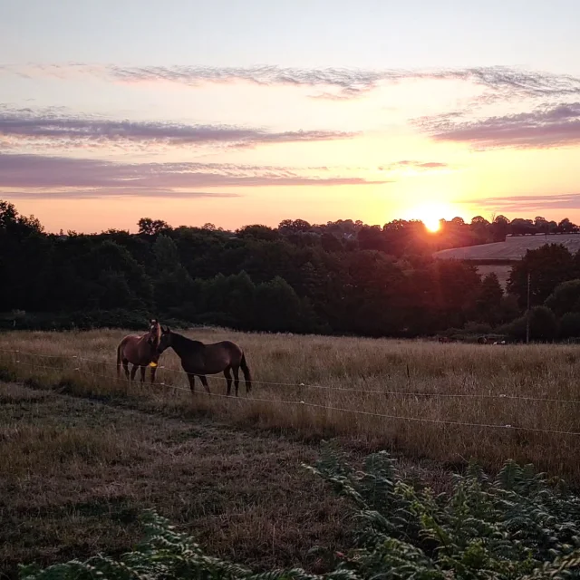 Instagram #mayenne