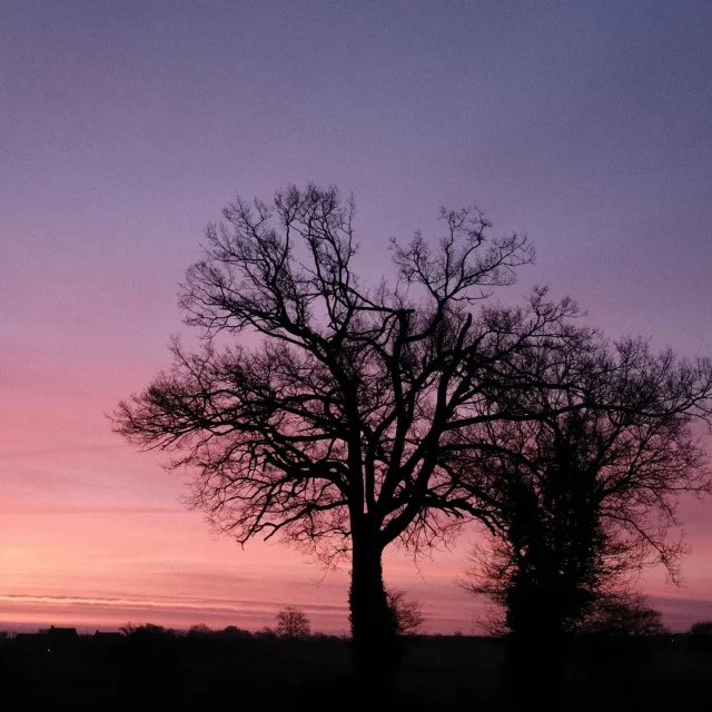Instagram #mayenne