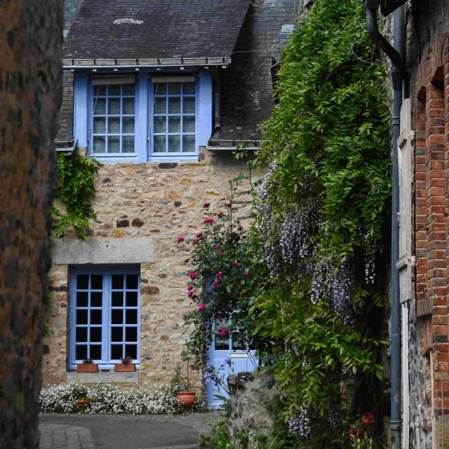 Instagram #mayenne