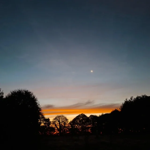 Instagram #bocagemayennais