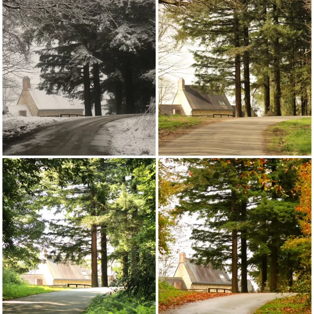 Instagram #lescoevrons