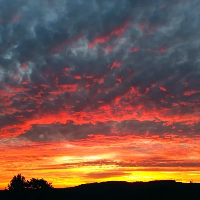 Instagram #lescoevrons