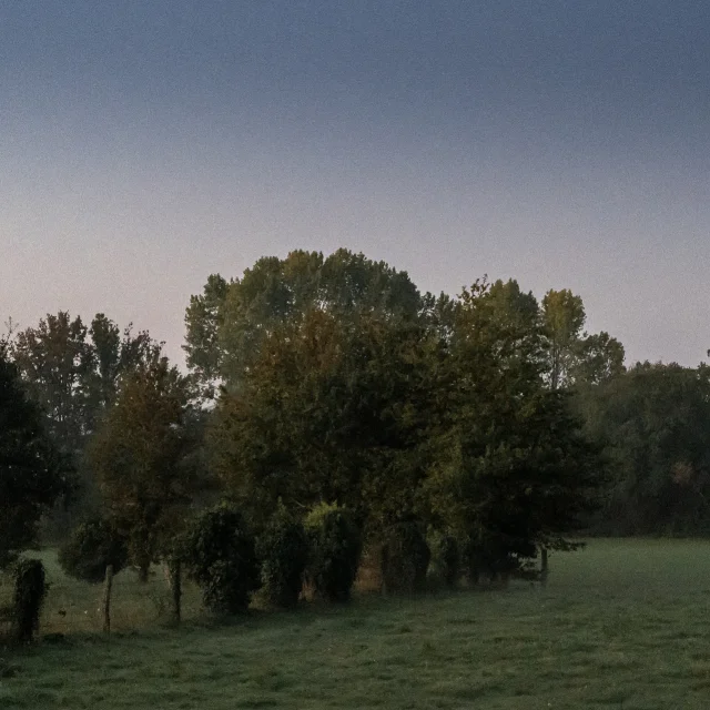 Instagram #mayenne