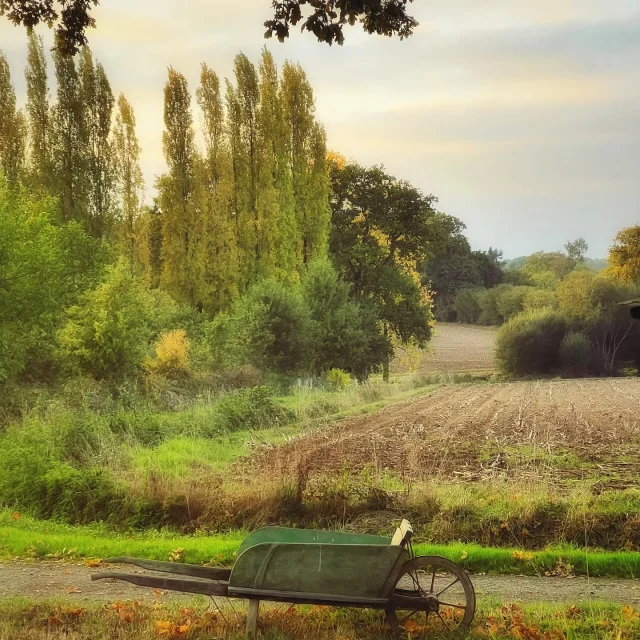 Instagram #bocagemayennais