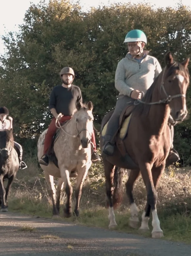Groupe de cavaliers en balade à cheval sur un chemin en pleine nature, entourés de verdure.