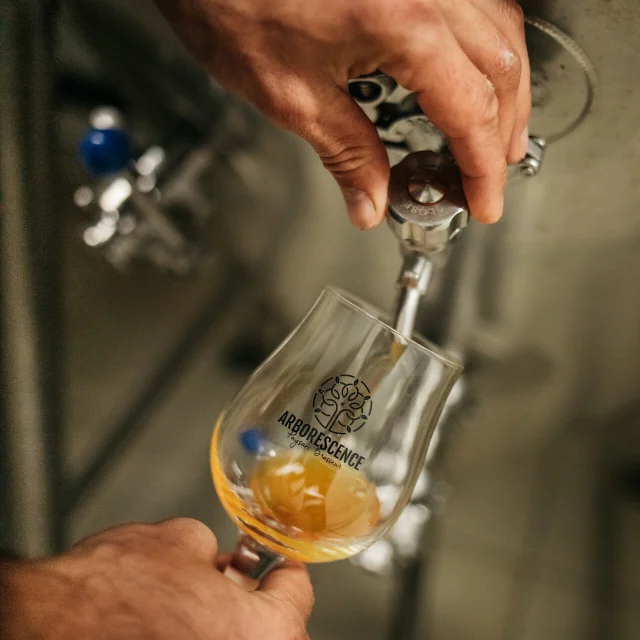 Une main remplit un verre de bière artisanale dorée à partir d'un robinet, avec le logo 'Arborescence' visible sur le verre.